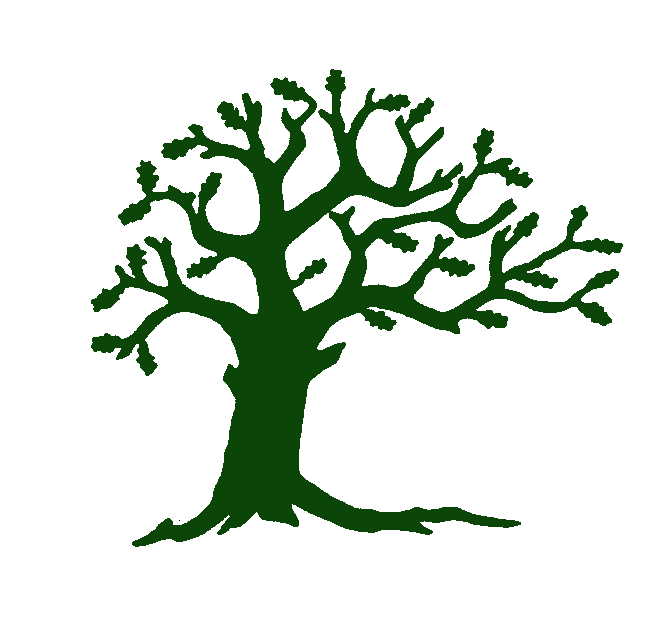 Brenschenschulbaum